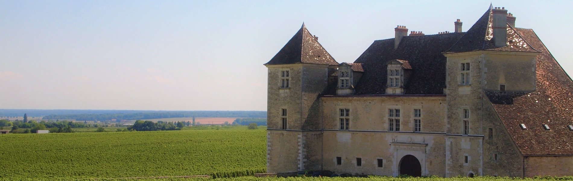 l'equipe iidaのご紹介